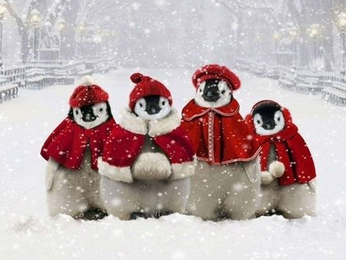 Julebillede med pingviner i nissedragter